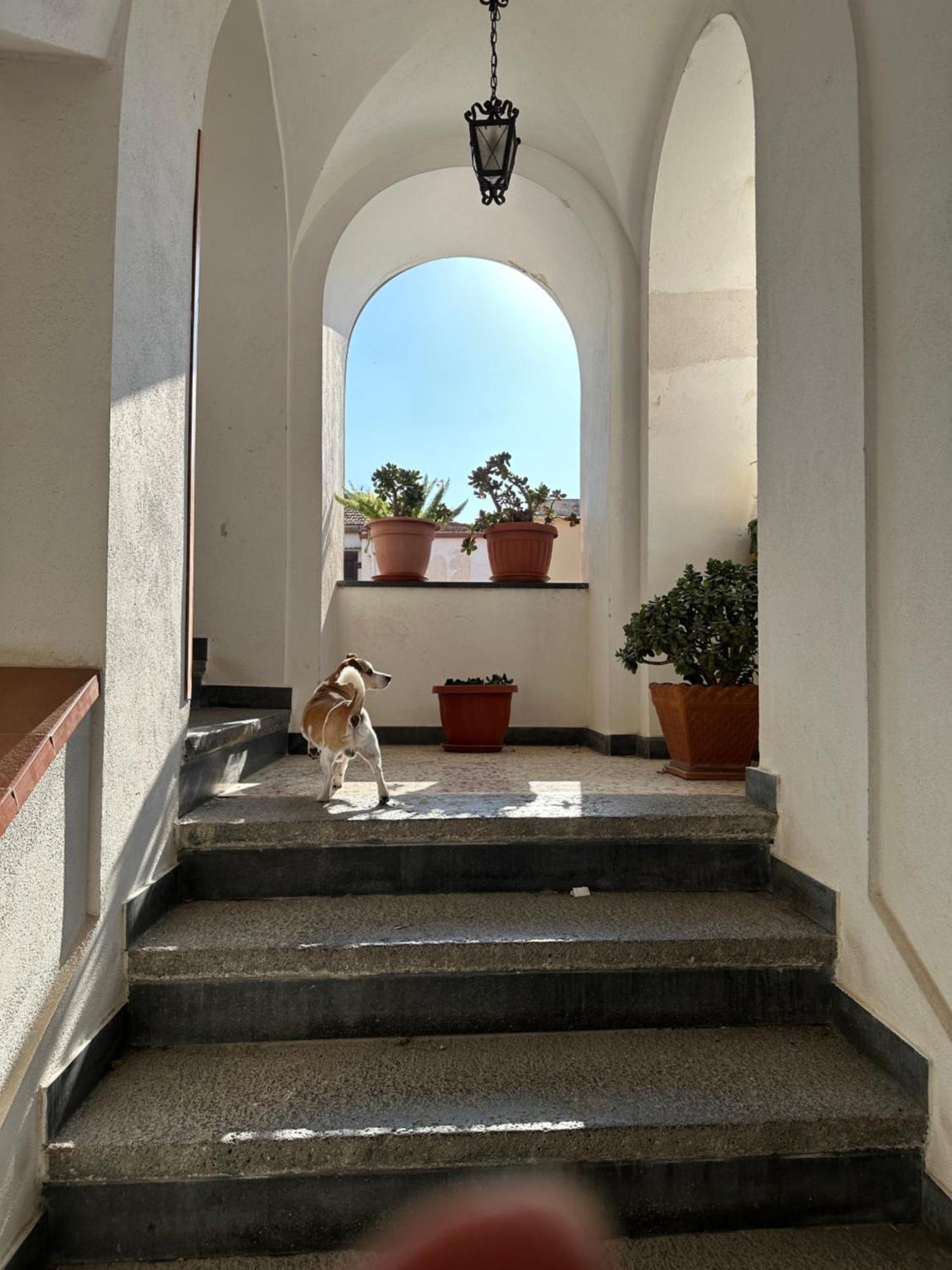 B&B Frai Sorrento Eksteriør billede